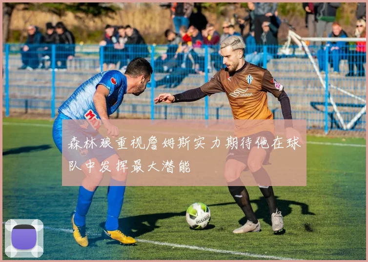 森林狼重视詹姆斯实力期待他在球队中发挥最大潜能