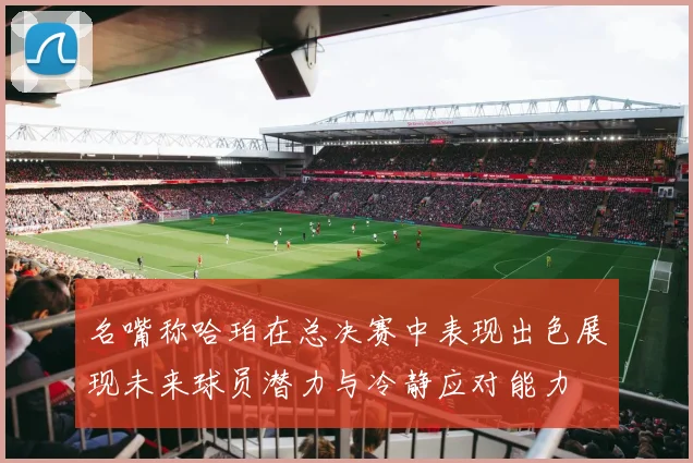 名嘴称哈珀在总决赛中表现出色展现未来球员潜力与冷静应对能力